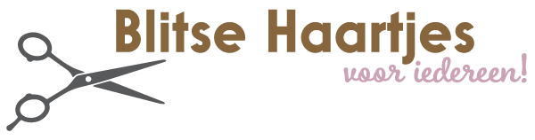 logo Blitse Haartjes